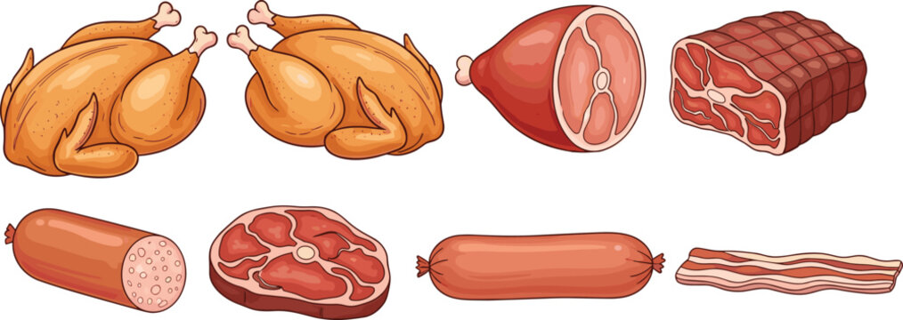 Variety of meat cuts. Roasted chicken, ham, steak, sausage, and bacon. Delicious meat illustrations for food menus, grocery icons, cooking, and restaurant designs.