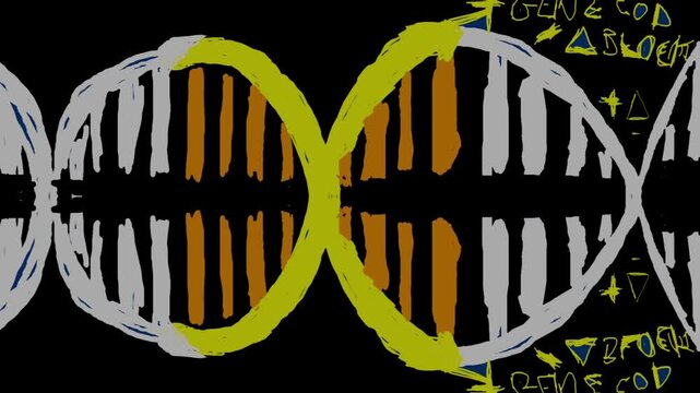Hand-drawn DNA sequence blueprint with biometric data codes, glowing neon on black background, organic pulse animation loop.