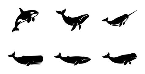 Set of 6 Black Silhouette Whale Icons, Marine Mammal Vector Graphics, Ocean Wildlife Symbols for Aquatic Themes © Imran