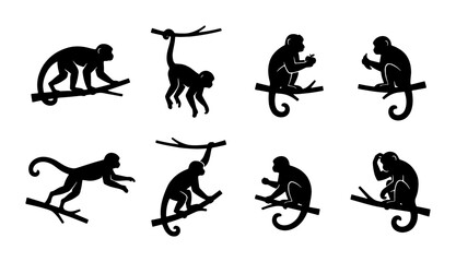 Monkey Silhouettes Vector Set, Primate Poses on Branches, Jungle Wildlife Icons, Black and White Animal Graphics © Mahfuz