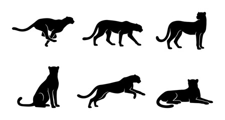 Six Silhouette Cheetah Poses Vector Set, Dynamic Wild Animal Illustrations, African Big Cat Graphics, Black and White Wildlife Icons for Design © Sanjida