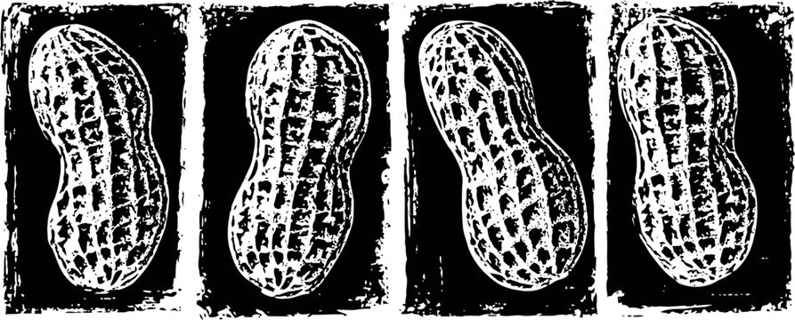 four detailed black and white peanut illustrations with textured backgrounds