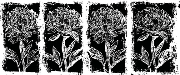 Fototapeta premium Vintage floral black and white peony illustration set with grunge texture background