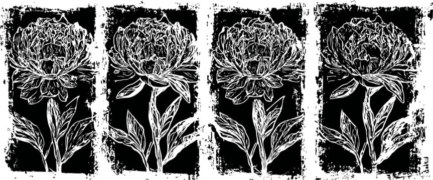 Vintage floral black and white peony illustration set with grunge texture background