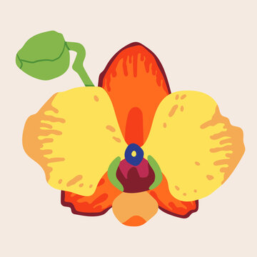 Beautiful Orchid flower. Exotic floral bloom. Colorful blossom. Unique trendy style. Hand drawn Vector illustration. Isolated design element. Print, collage, logo, icon, sticker, print template
