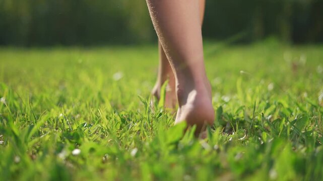 A child girl walk barefoot on the grass. Summer green family health concept. A child is barefooted in the grass at a park. A child walks barefoot in the park in the summer in the lifestyle park.