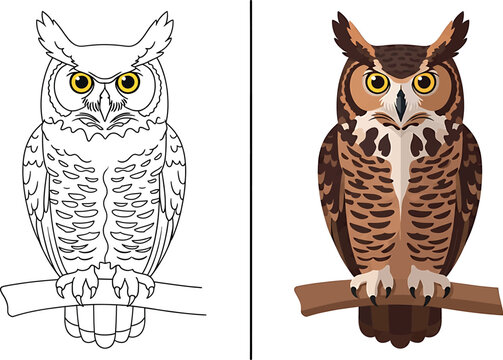 Great horned owl illustration set line art and full color versions for design projects