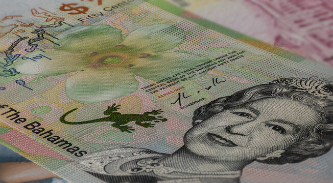 Macro close-up photograph of a colorful Bahamian fifty cents banknote featuring Queen Elizabeth II, tropical floral artwork and intricate anti-counterfeit security printing. The image highlights detai