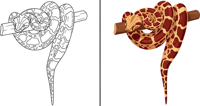 Coloring page featuring a python snake wrapped around a log