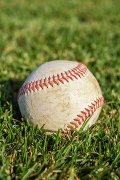 Closeup of baseball on lush green grass