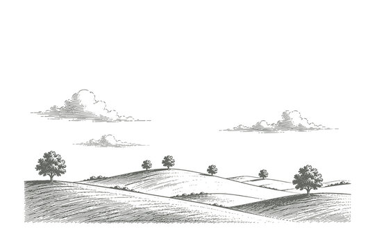 Minimalist vintage engraving style vector illustration of a vast rolling hills landscape with small distant trees and soft clouds