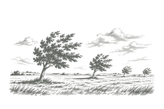 Atmospheric woodblock style vector illustration of trees in an open meadow landscape with grass blowing in the wind and cloudy sky