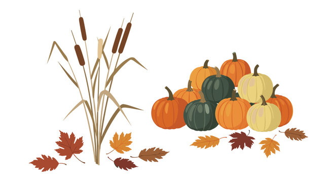 A pile of assorted pumpkins and cattail reeds are arranged with fallen autumn leaves scattered around, isolated on a white background.