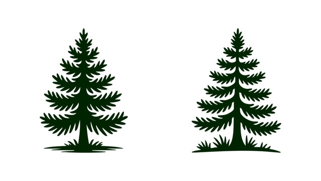 Set of two evergreen pine tree silhouettes isolated on white, Minimalist spruce and fir tree icons for forest logo design, Vintage style conifer tree vector illustrations for camping, Dark green fores