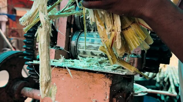 Video cropped hands using technic machine for sugarcane processing, juice production with rotating walk through element
