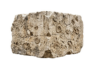 Ancient stone block with ammonite fossils isolated. Paleontology concept. © PNG Lab