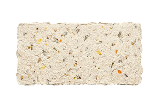 Rectangular handmade paper with flower petals isolated. Recycled stationery mockup.