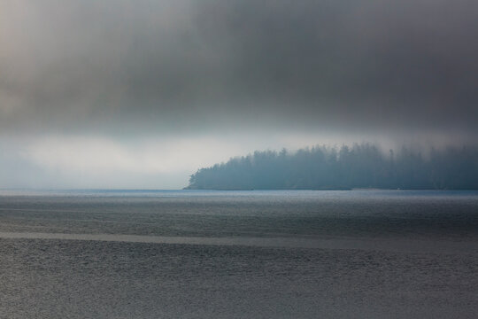Clearing fog over forested point of land, East Sound, Orcas Island, WA USA