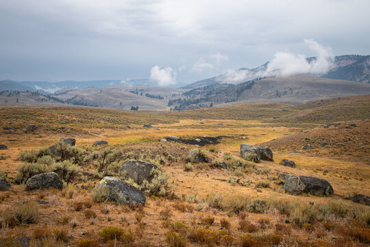 Stormy autumn day on Buffalo Plateau, Yellowstone National Park, Wyoming