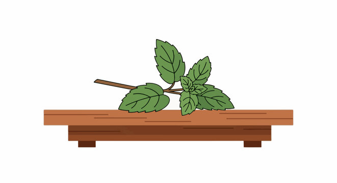 Fresh green herb sprig resting on a wooden platform