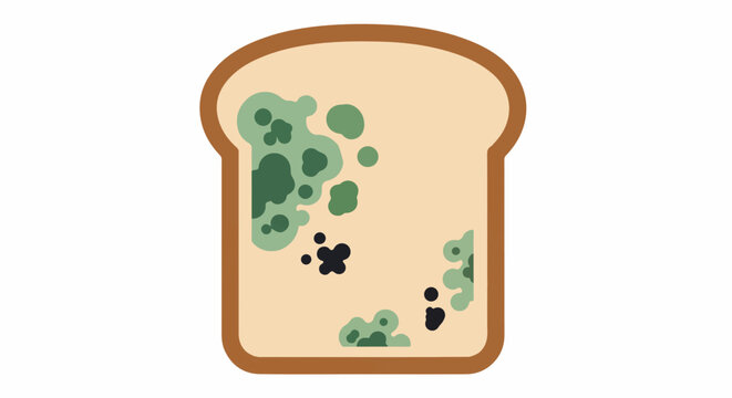 Flat illustration of a slice of bread with mold and spoilage
