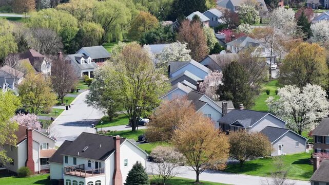 Aerial view of a peaceful suburban neighborhood in the USA during spring with blooming trees, tidy homes and quiet streets. Calm residential streets create a serene American community setting.