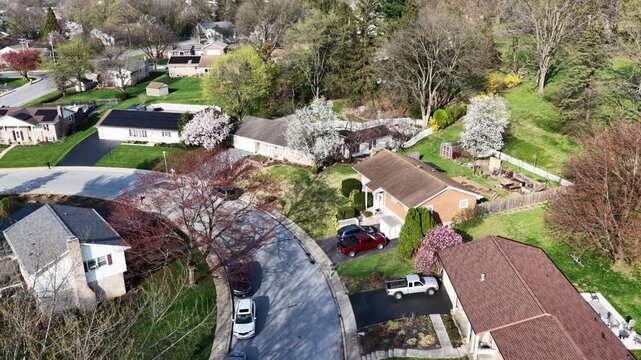 Quiet suburban Pennsylvania neighborhood in USA featuring residential homes, parked cars, flowering spring trees, curved streets and peaceful housing development in sunny daylight. Descend shot.