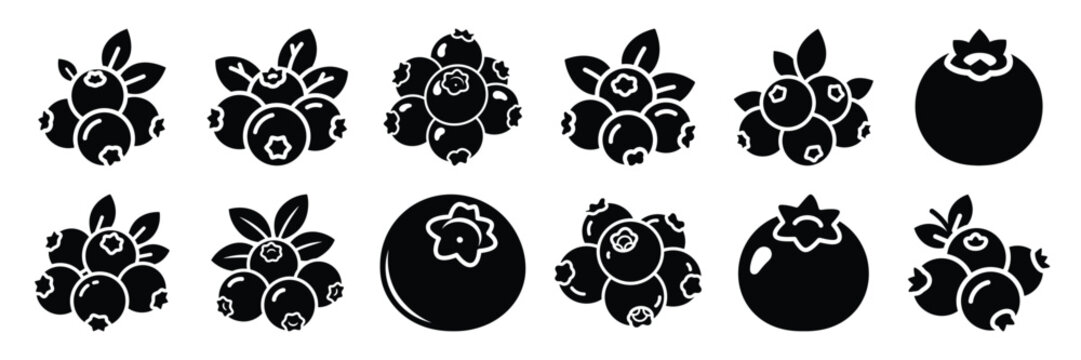 Summer beach icon set with blueberry 12 black silhouette icons.