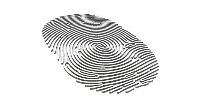 Fingerprint pattern with gray lines on white background