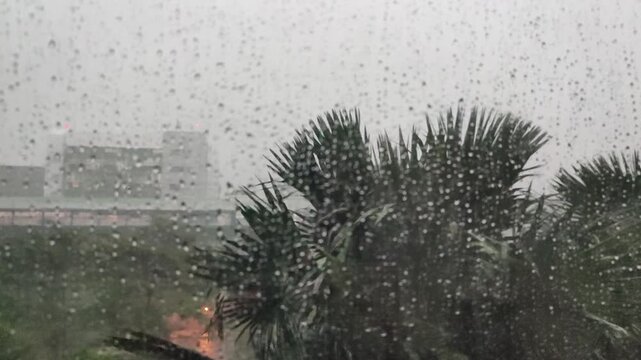 Raindrops on Window with Blurred Palm Trees and Cityscape