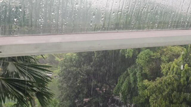 Heavy Rain Falling Outside Window with Green Tropical Garden View