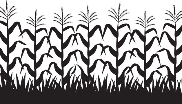 Corn stalks and grass vector illustration field harvest agriculture natural background.