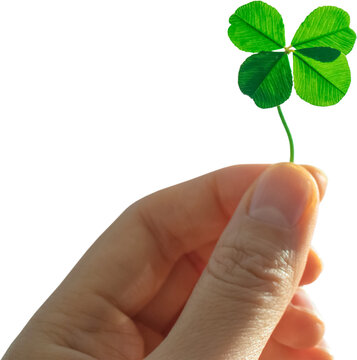 Four-leaf clover held in hand, symbol of good luck, isolated on transparent background, PNG