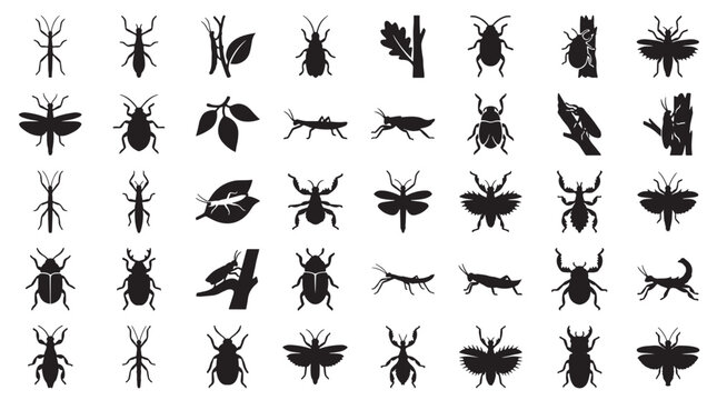 Insect Camouflage Defense Silhouettes Set Pack, Editable Vector Stroke Illustrations. containing insect, silhouette, beetle, bug, nature, biology, entomology, wildlife and more insects silhouettes