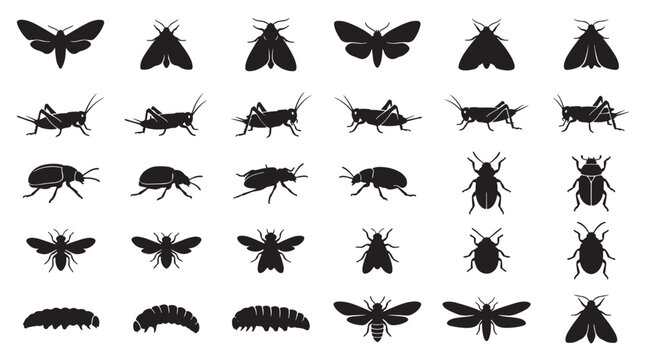 Nocturnal Insects Night Activity Silhouettes Set Pack, Editable Vector Stroke Illustrations. containing insect, silhouette, beetle, moth, fly, grasshopper, larva, bug and more insects silhouettes