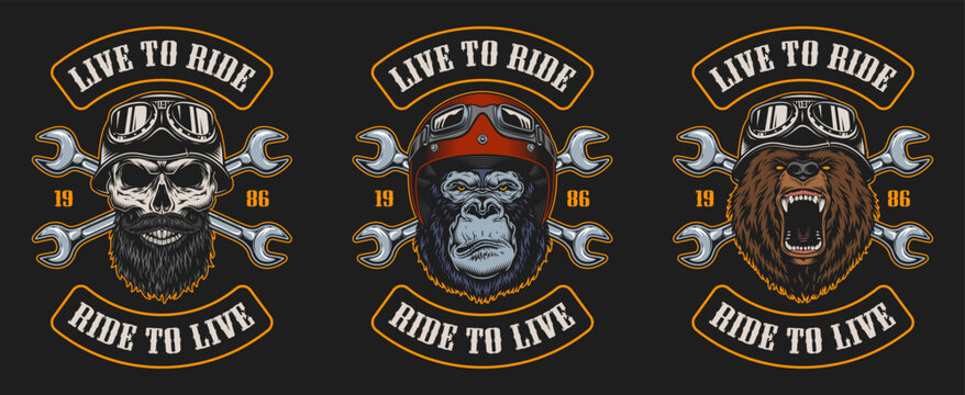 Skull design with biker theme