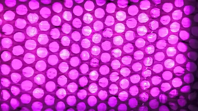 Abstract Colorful Light Through Bubble Wrap Texture - Dynamic Iridescent Background Loop