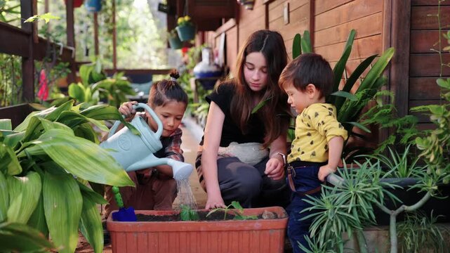 Three multiethnic children watering young plants in garden planter using watering can learning teamwork sustainability and nature care outdoors
