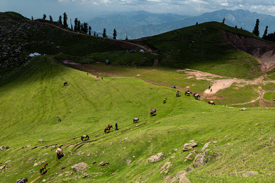 View of Ganga Choti peak with a caravan of pack animals and people trekking across the vibrant green slopes under a cloudy sky in Bagh, Azad Kashmir, Pakistan.