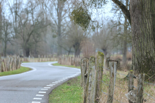 der Weg durch die Auen nach F&auml;hre Zons