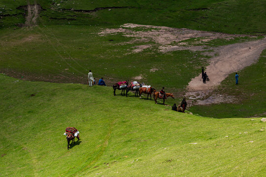 View of people with pack horses and mules resting on the green slopes of Ganga Choti, Bagh, Azad Kashmir, Pakistan.