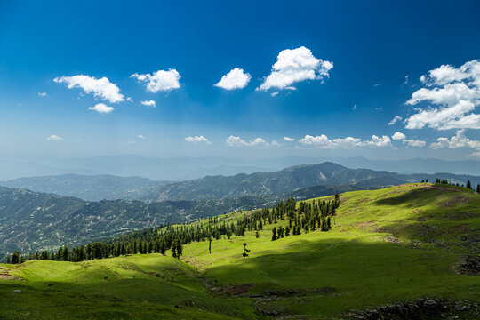 View of Ganga Choti peak with lush green meadows and scattered pine trees under a bright blue sky Bagh, Azad Kashmir, Pakistan.