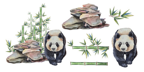 Watercolor illustration set of a panda walking among natural stones and bamboo stems in botanical style. for packaging, childrens products, eco brands zoo themes wellness and Asian-inspired designs. © Mea_ta 
