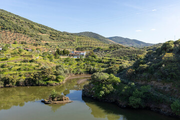 Fototapeta premium River flowing through terraced valley with house