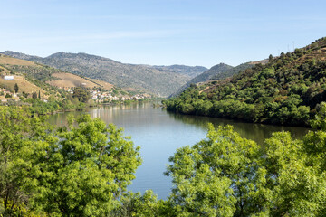 Fototapeta premium Douro river valley landscape with scenic vineyards