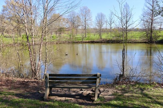 The old wood bench at the pond.