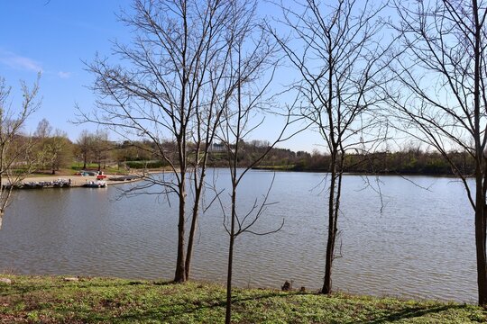 The quiet lake in the park on a sunny day.