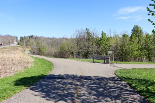 The long empty pathway in the park.
