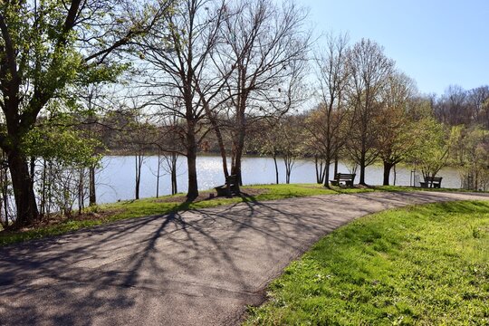 A view of the lake in the park on a sunny day