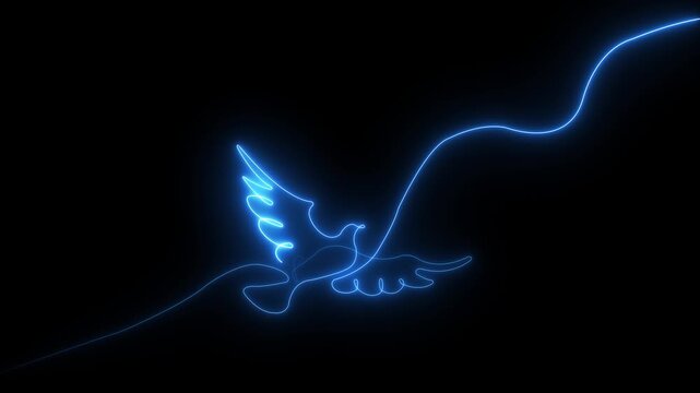 Flying bird, pigeon self drawing animation. Animated blue line on black background motion animation 4k video...